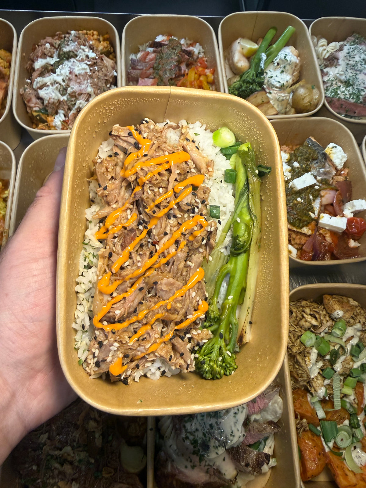 Honey Garlic Pulled Pork Bowl