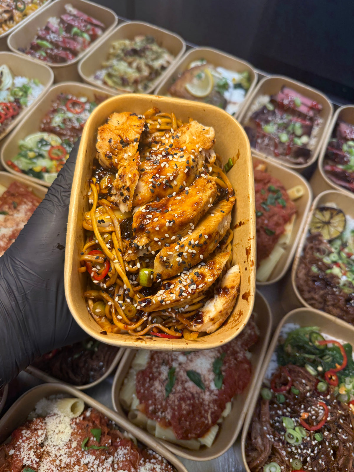 Teriyaki Chicken Noodles